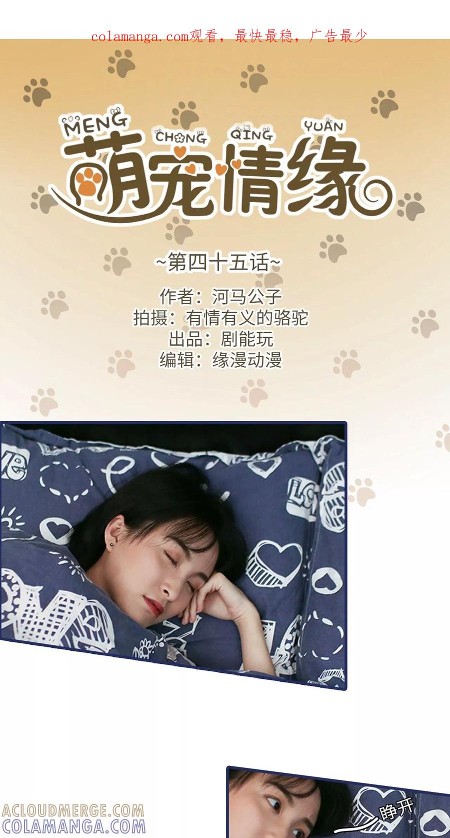 第45话-萌宠情缘-剧能玩（第1张）