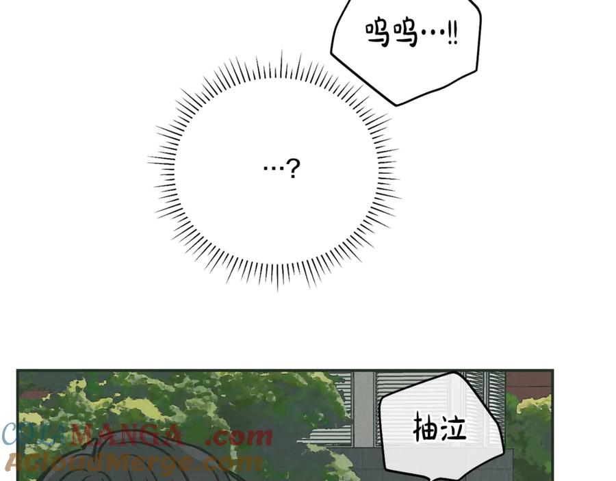 137.jpg
