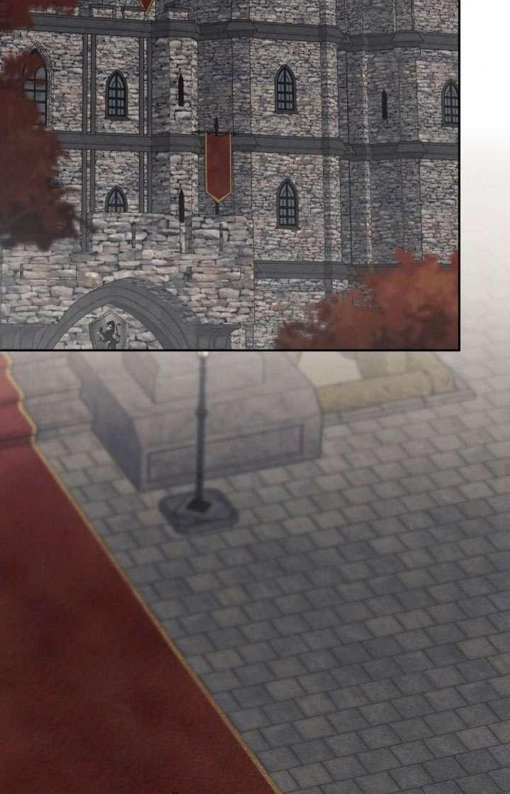 96.jpg