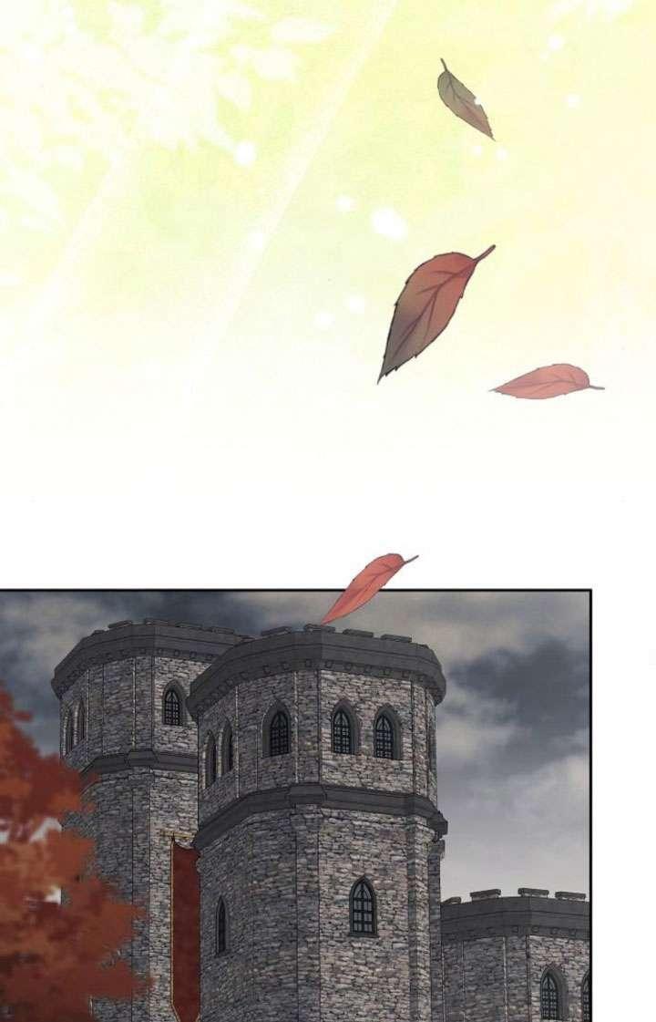 95.jpg