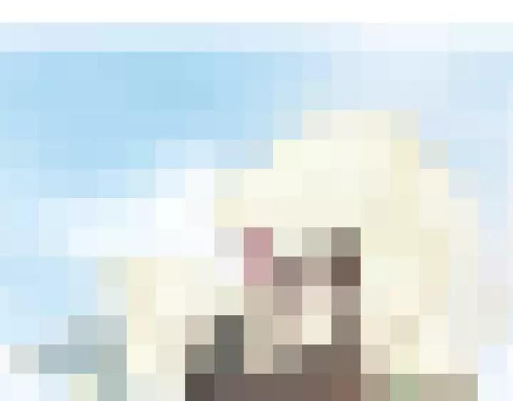 104.jpg