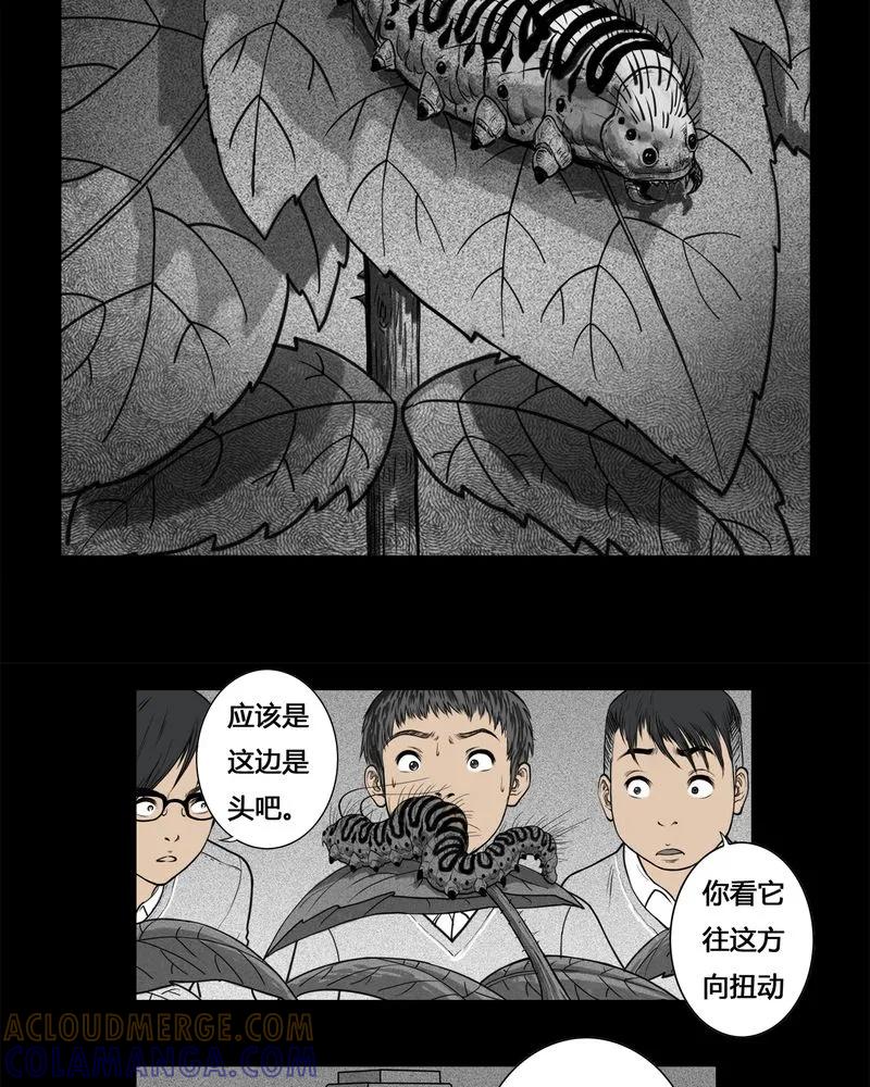 第3章：虫女(一)-西陵学院灵异短篇集-山绿米（第5张）