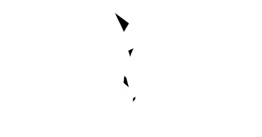 54.jpg
