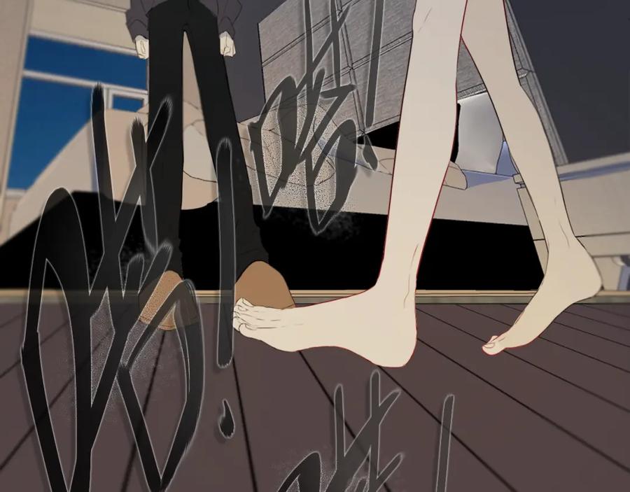 91.jpg