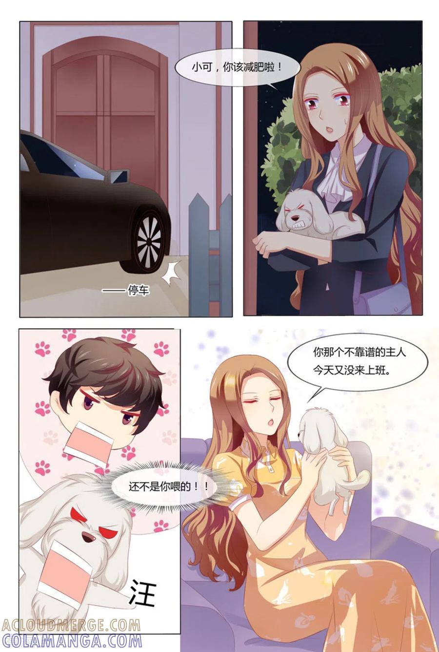 第41话-我的房东是泰迪-咪咕阅读（第5张）