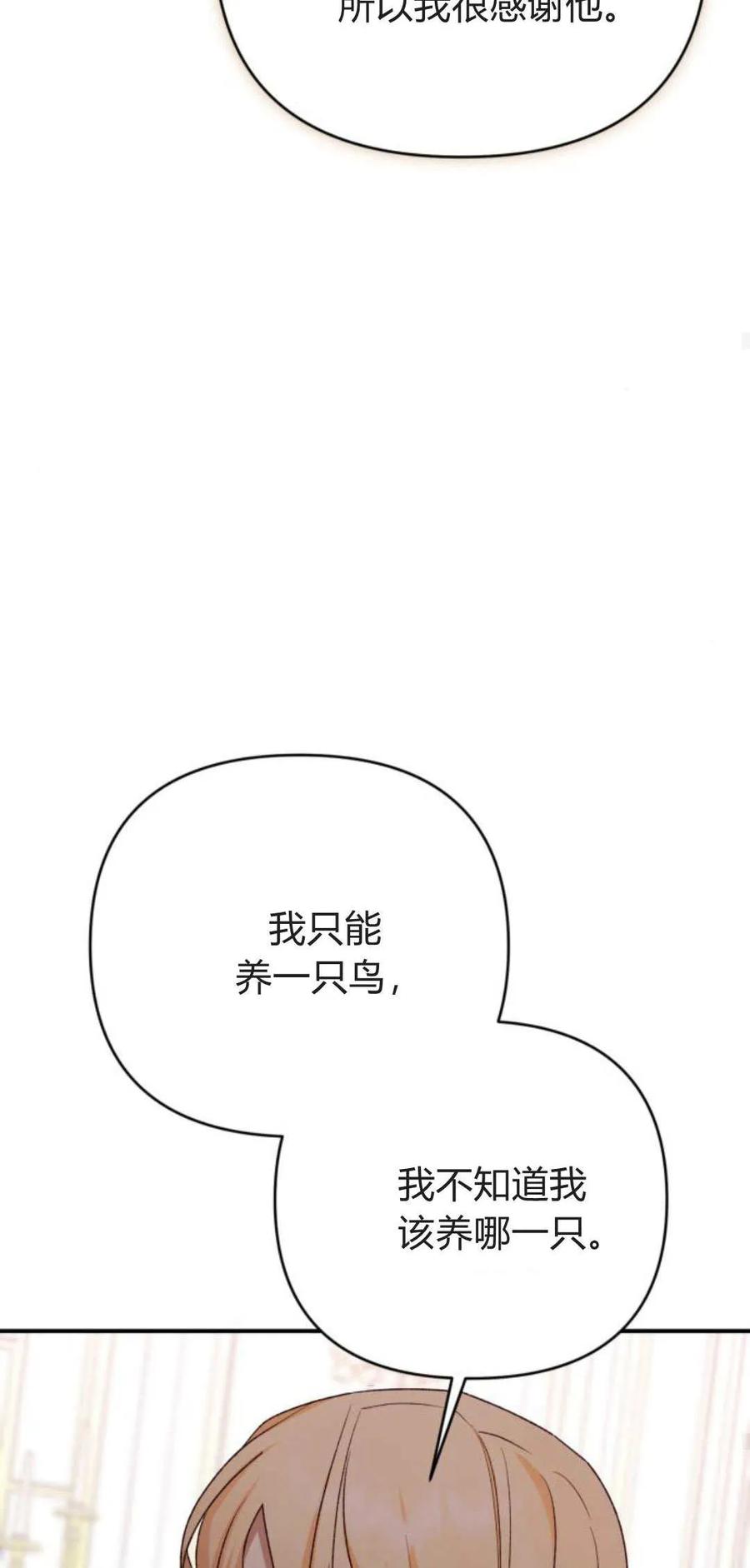 95.jpg