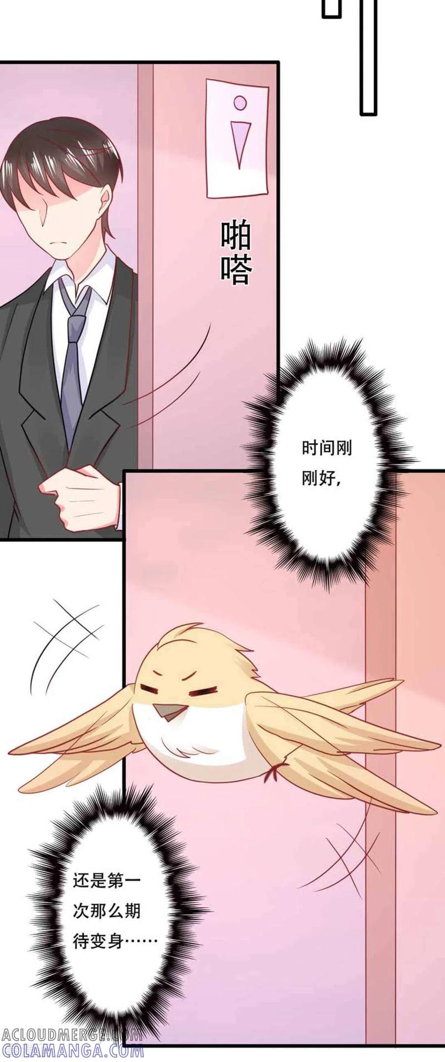 第103话-冤家小小鸟-咪咕阅读（第9张）