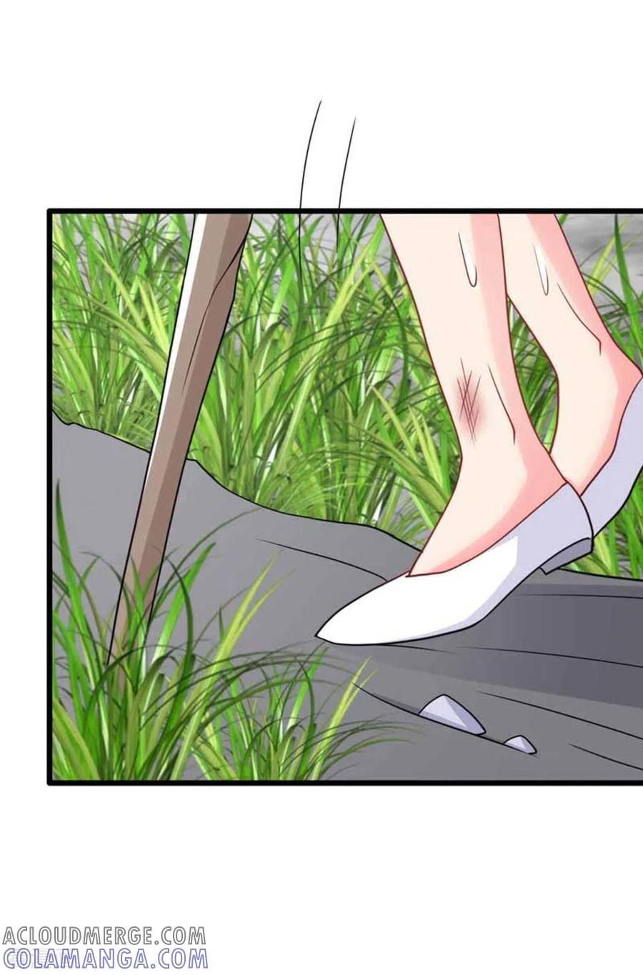 第104话-冤家小小鸟-咪咕阅读（第17张）