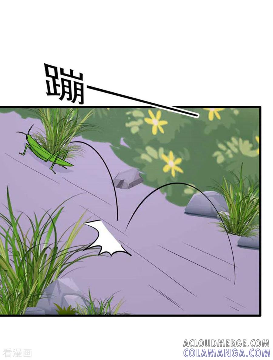 第106话-冤家小小鸟-咪咕阅读（第13张）
