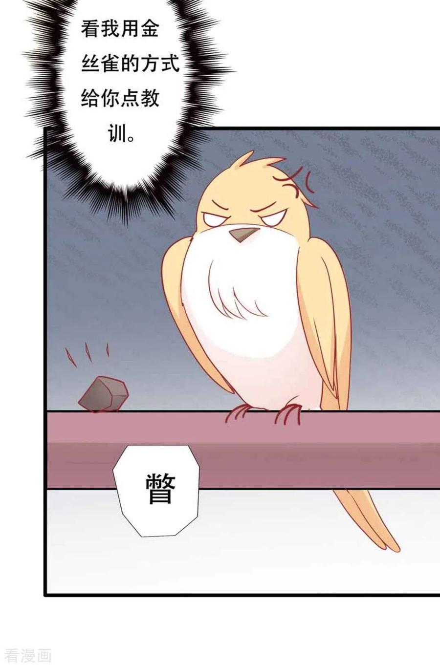 第99话-冤家小小鸟-咪咕阅读（第4张）