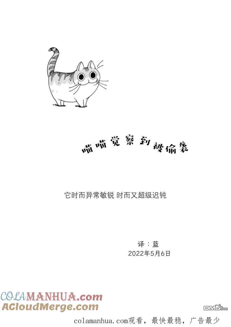 第115话-关于养猫我一直是新手-キュルZ（第3张）
