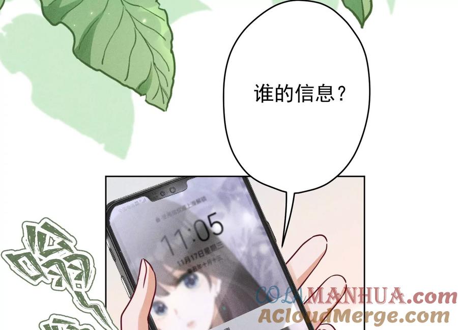 73.jpg