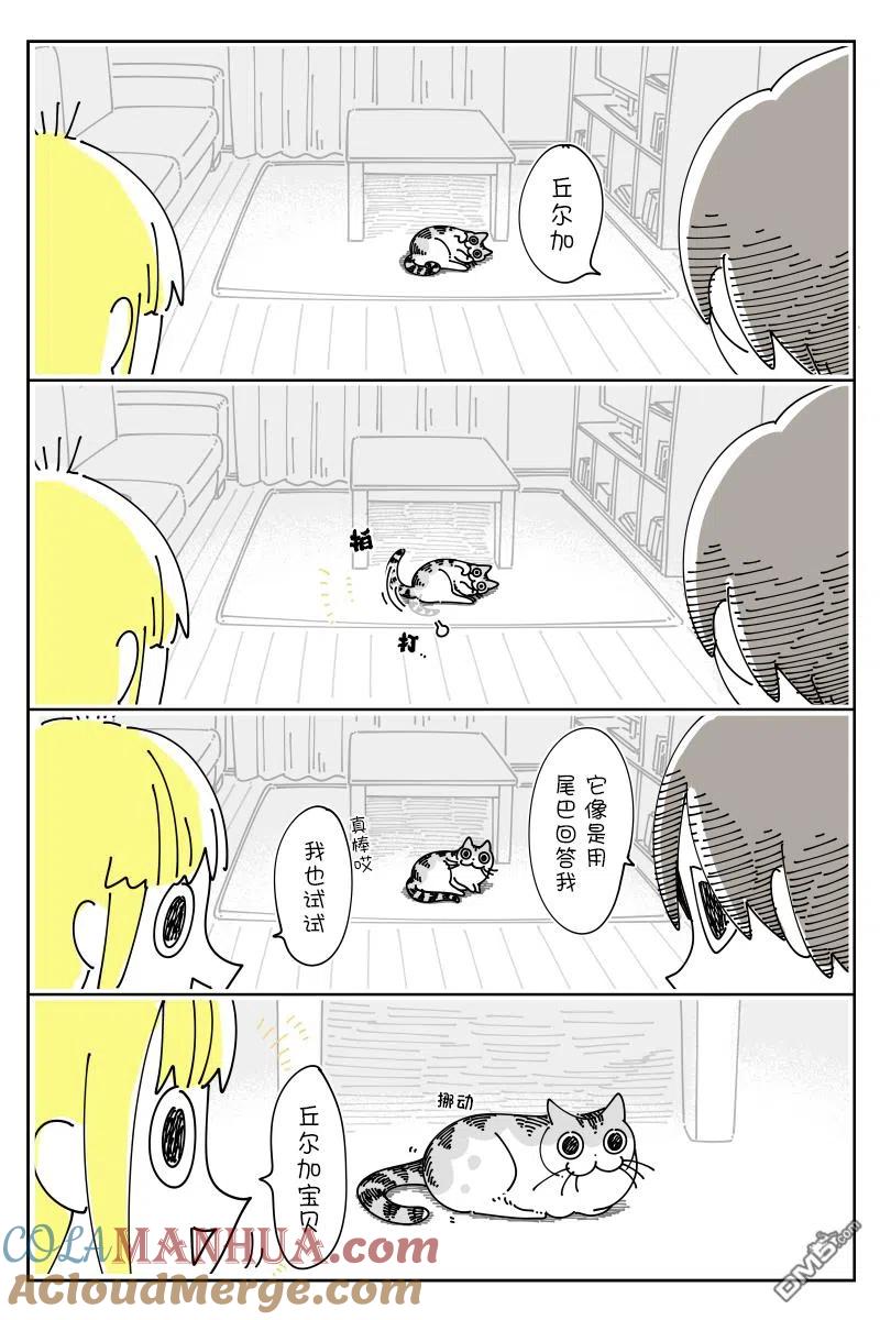 第118话-关于养猫我一直是新手-キュルZ（第1张）