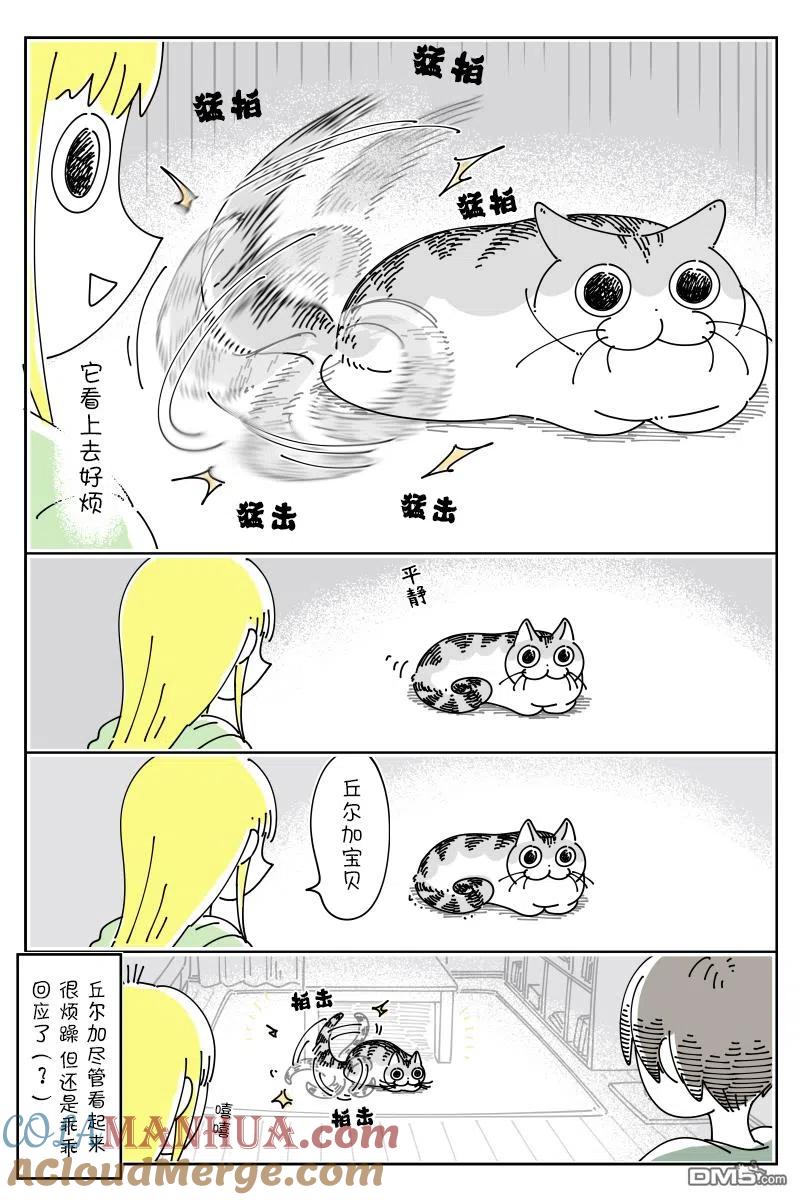 第118话-关于养猫我一直是新手-キュルZ（第2张）