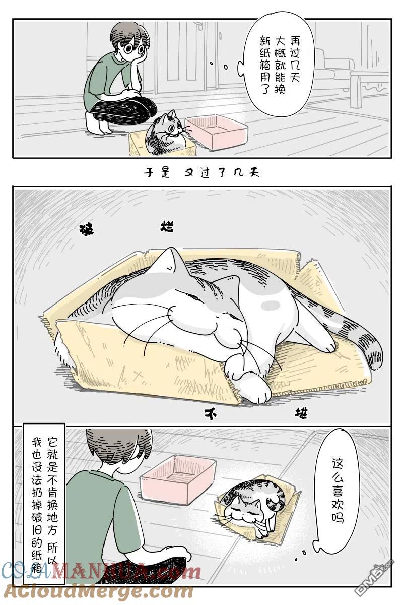 第119话-关于养猫我一直是新手-キュルZ（第2张）
