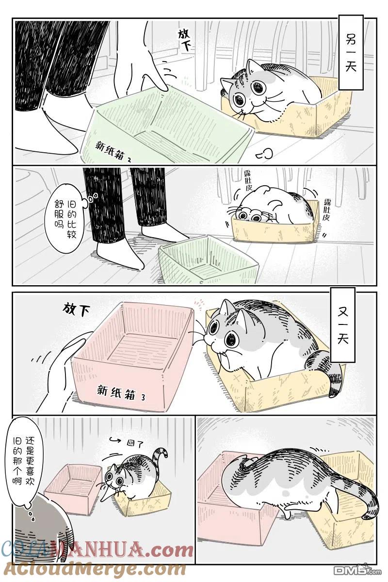 第119话-关于养猫我一直是新手-キュルZ（第1张）