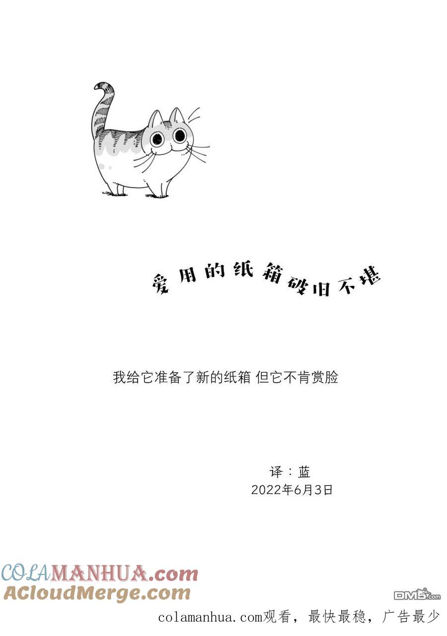第119话-关于养猫我一直是新手-キュルZ（第3张）