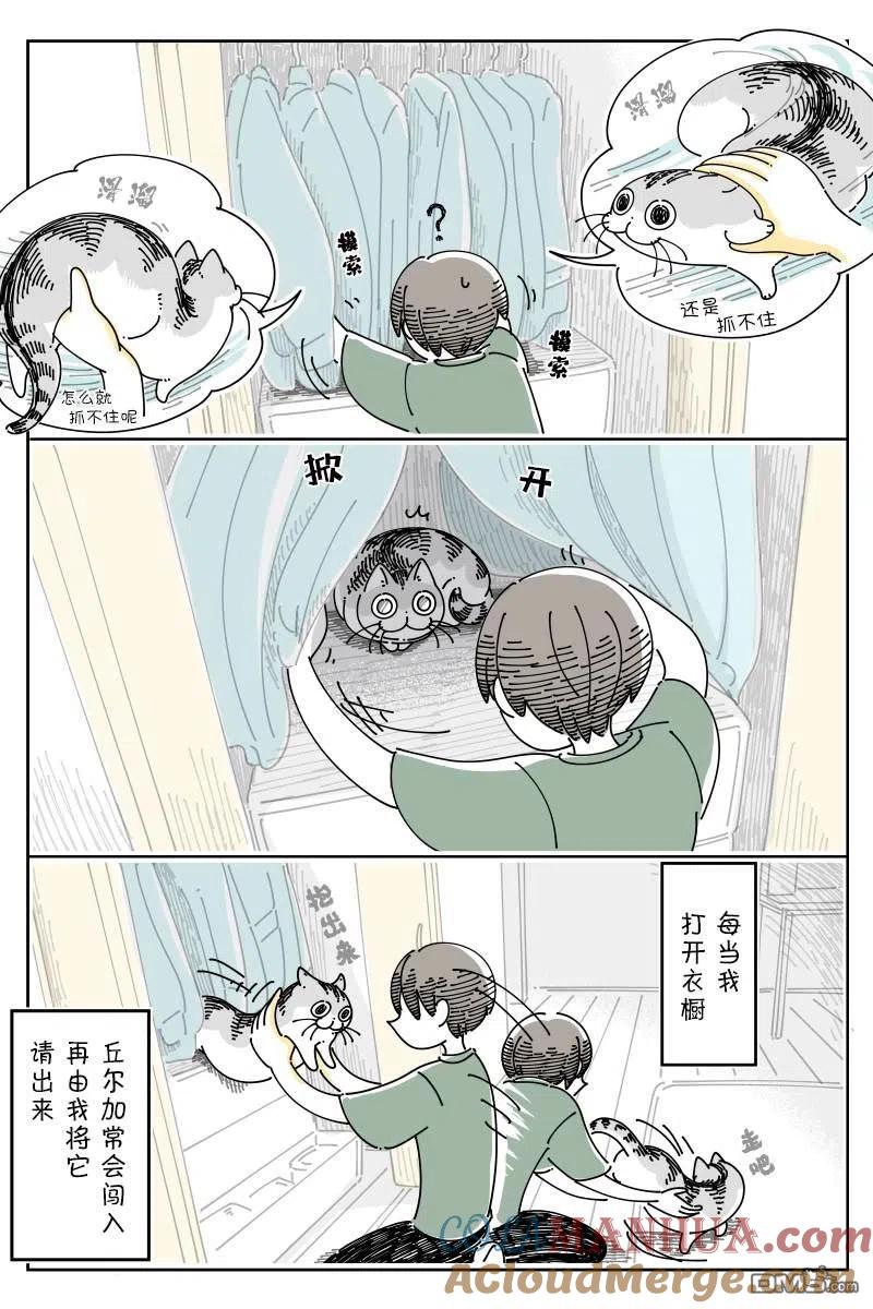 第120话-关于养猫我一直是新手-キュルZ（第3张）