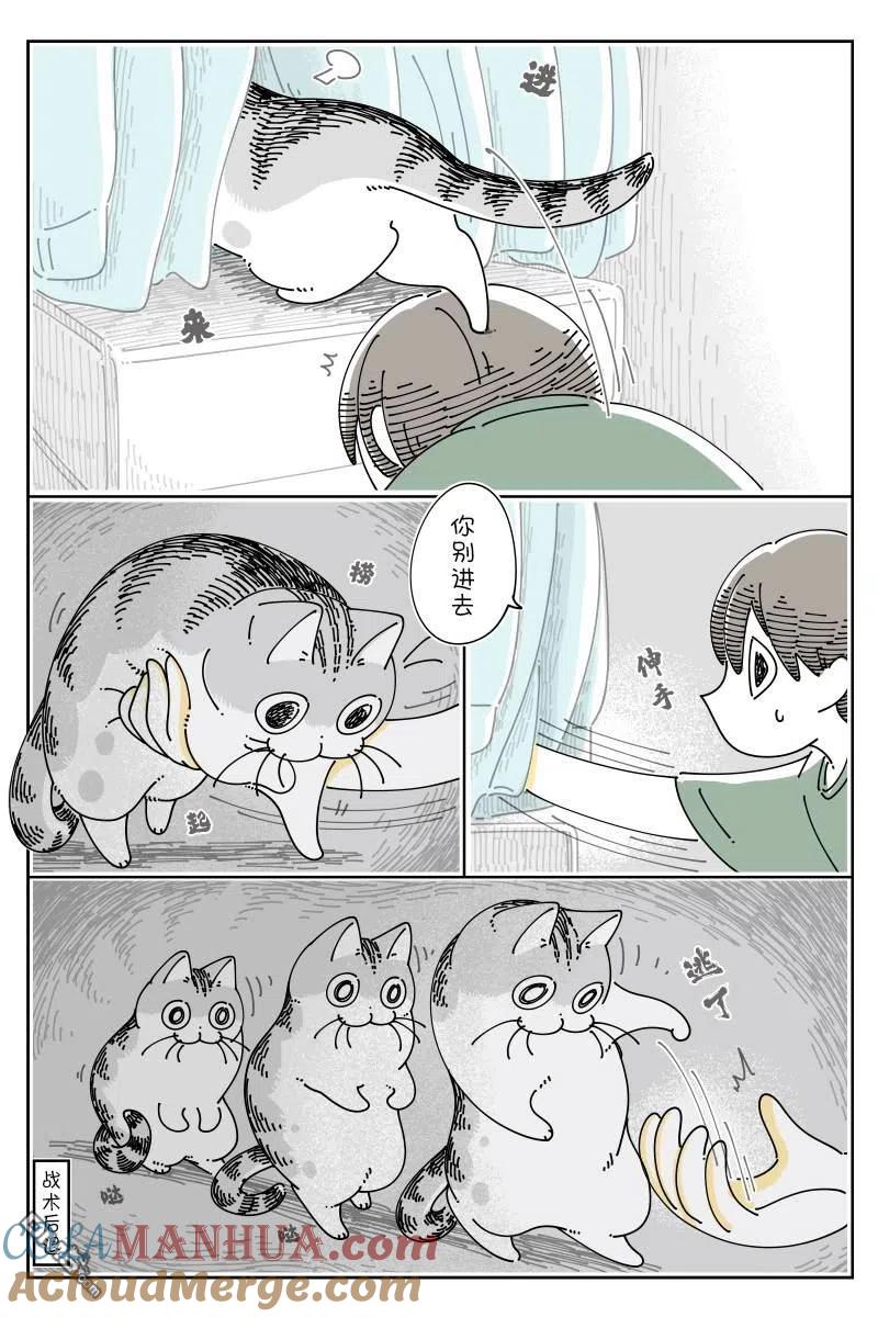第120话-关于养猫我一直是新手-キュルZ（第2张）