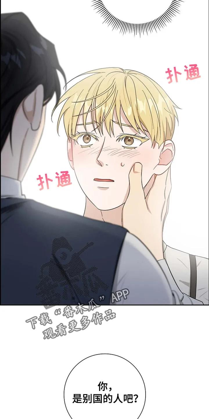 第94章：【第二季】我也要参加-姻缘天注定-ROAMM（第1张）