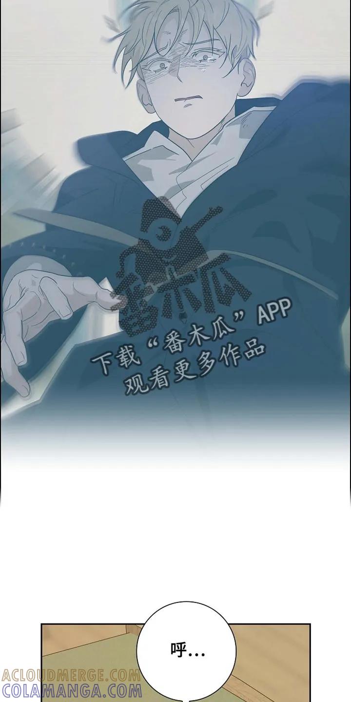 第98章：【第二季】希望你现在亲我-姻缘天注定-ROAMM（第14张）