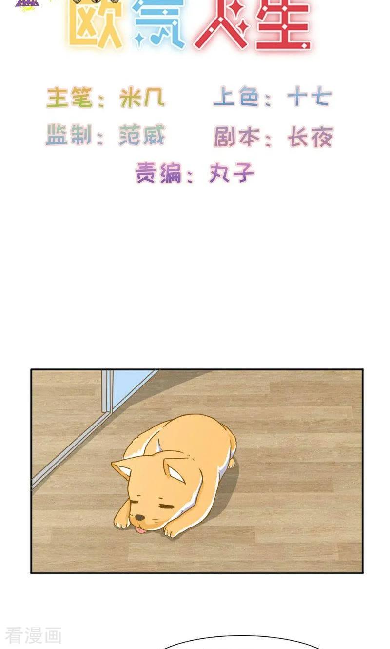 最终话-欧气人生-凤凰动漫（第2张）