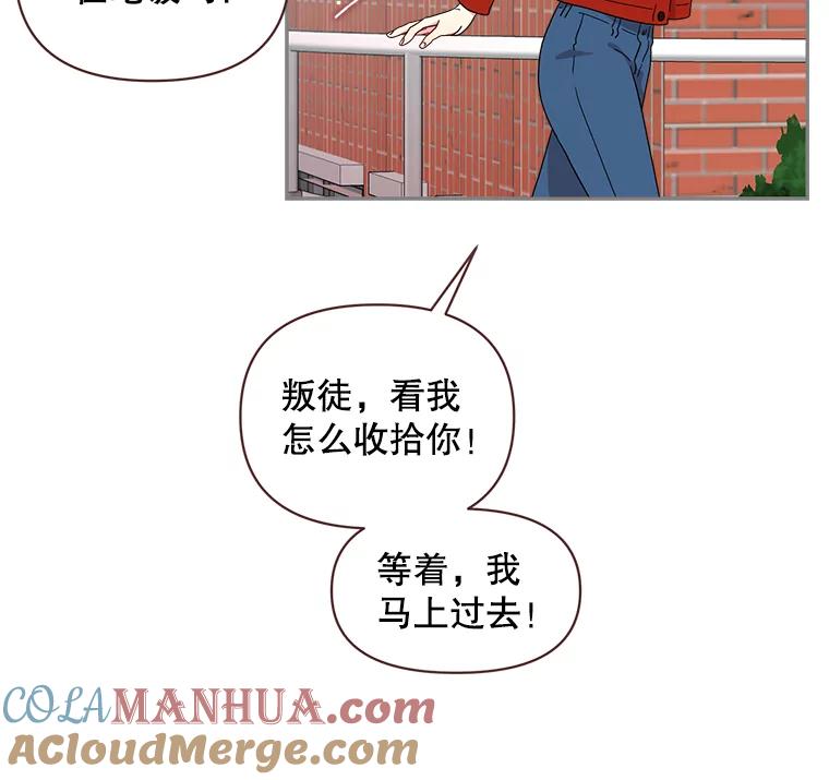 48.jpg