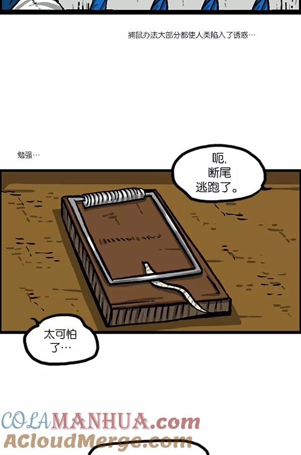 43.jpg