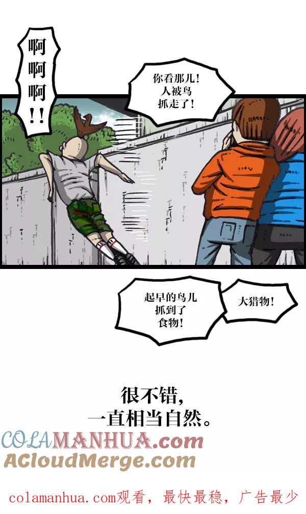 41.jpg