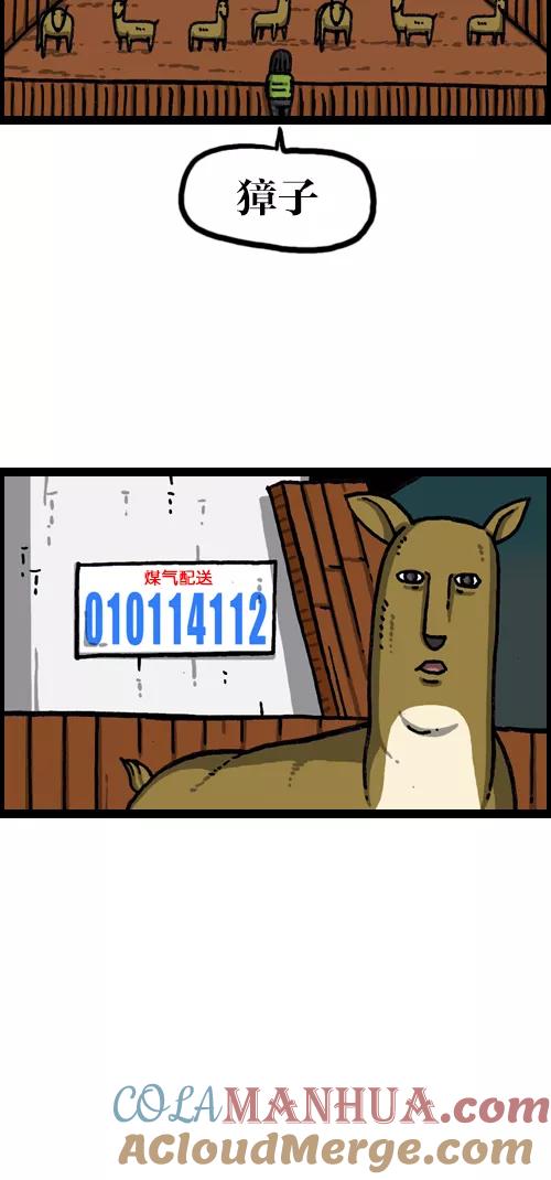 35.jpg