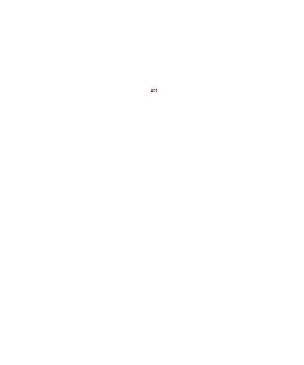 65.jpg