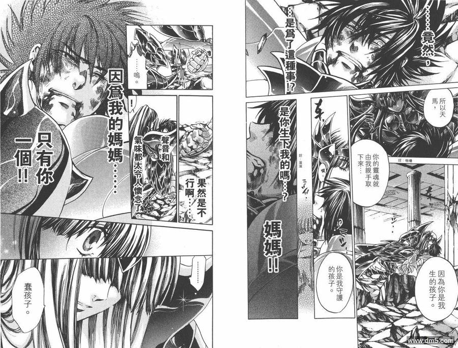 第22卷-圣斗士星矢 冥王神话-手代木史织（第11张）