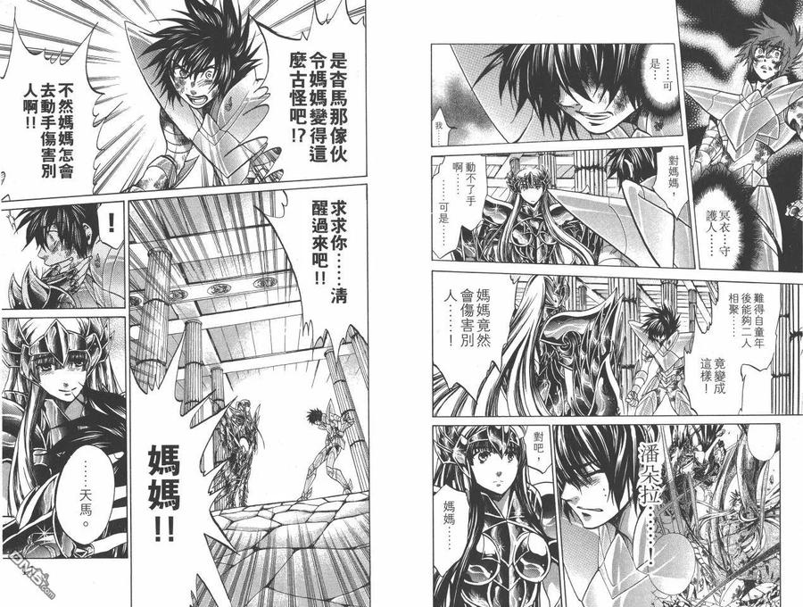 第22卷-圣斗士星矢 冥王神话-手代木史织（第5张）