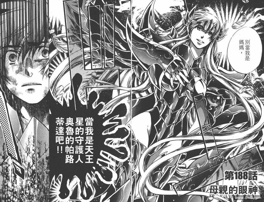第22卷-圣斗士星矢 冥王神话-手代木史织（第4张）