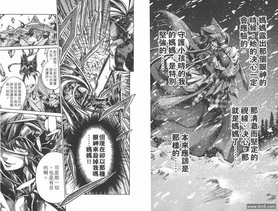 第22卷-圣斗士星矢 冥王神话-手代木史织（第8张）