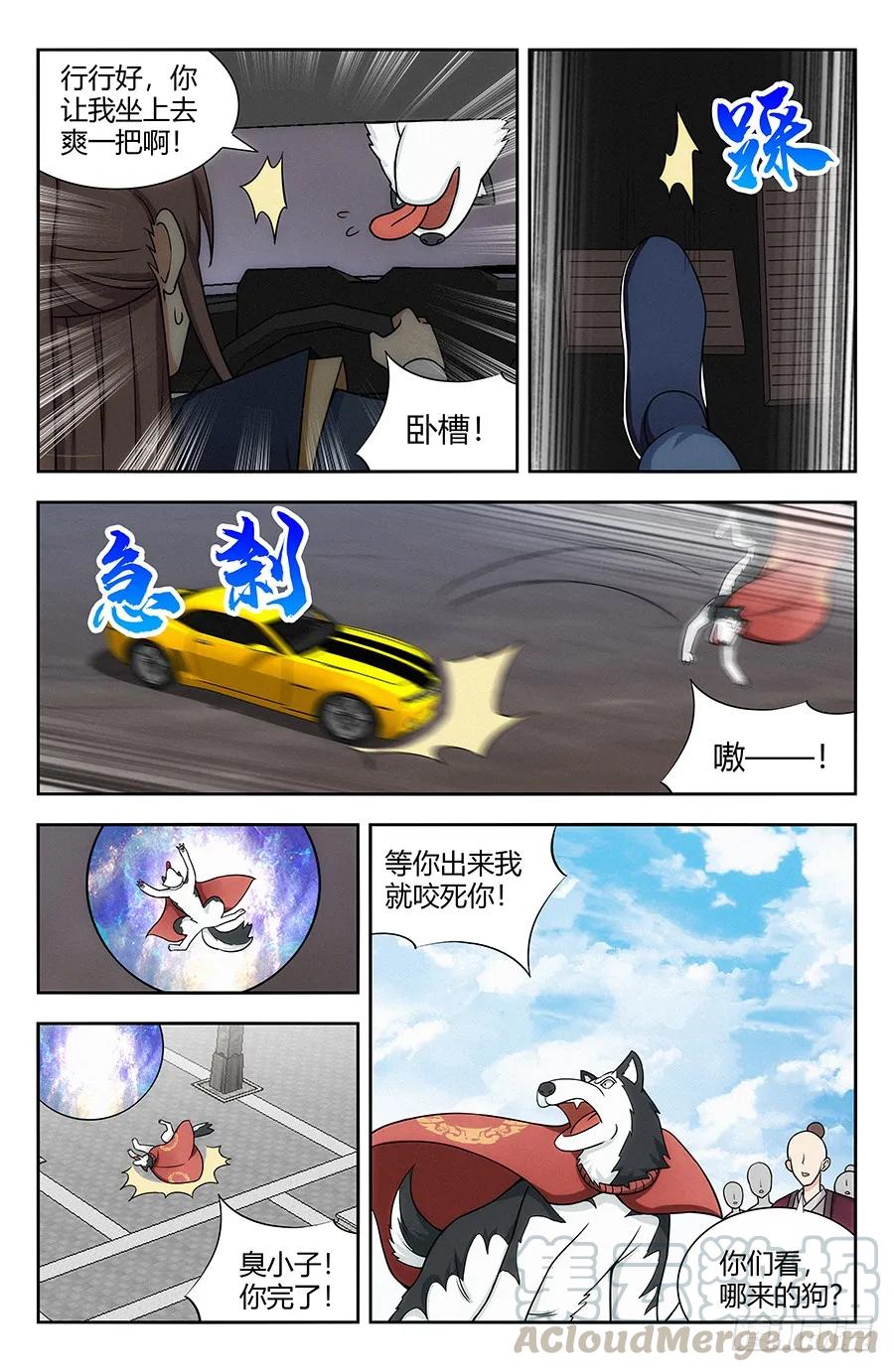 6.jpg