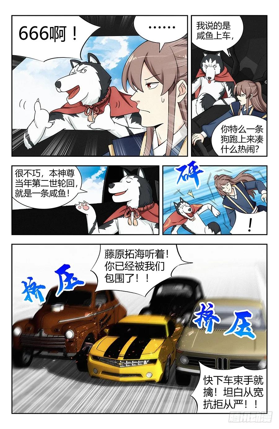11.jpg