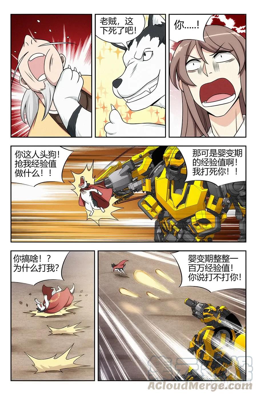 5.jpg