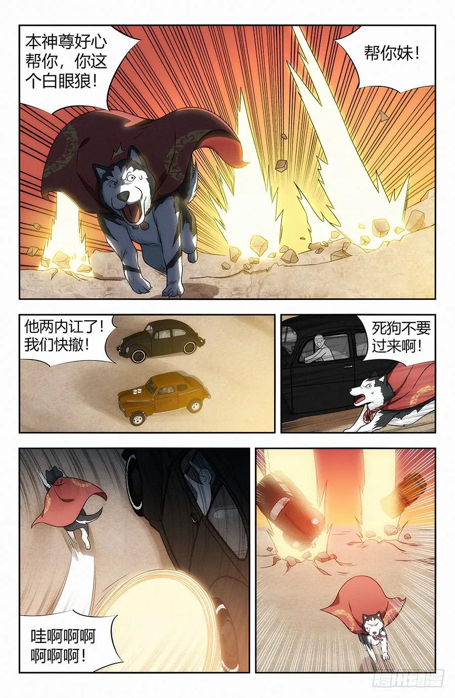 6.jpg