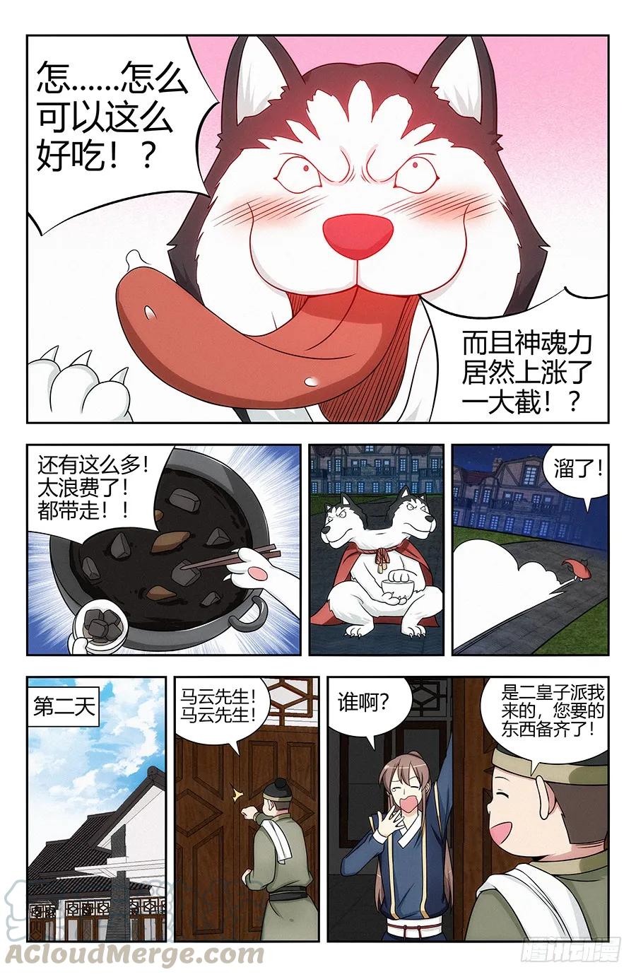 9.jpg