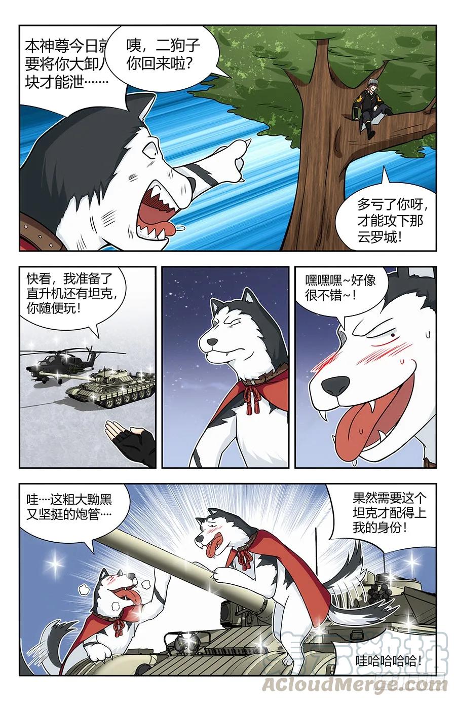5.jpg