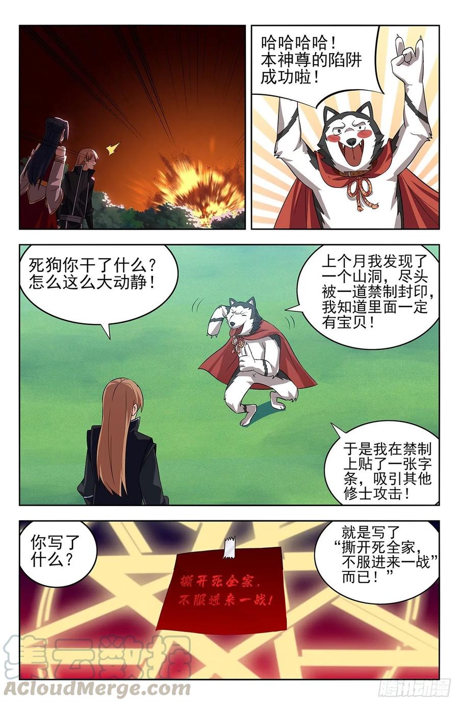 5.jpg