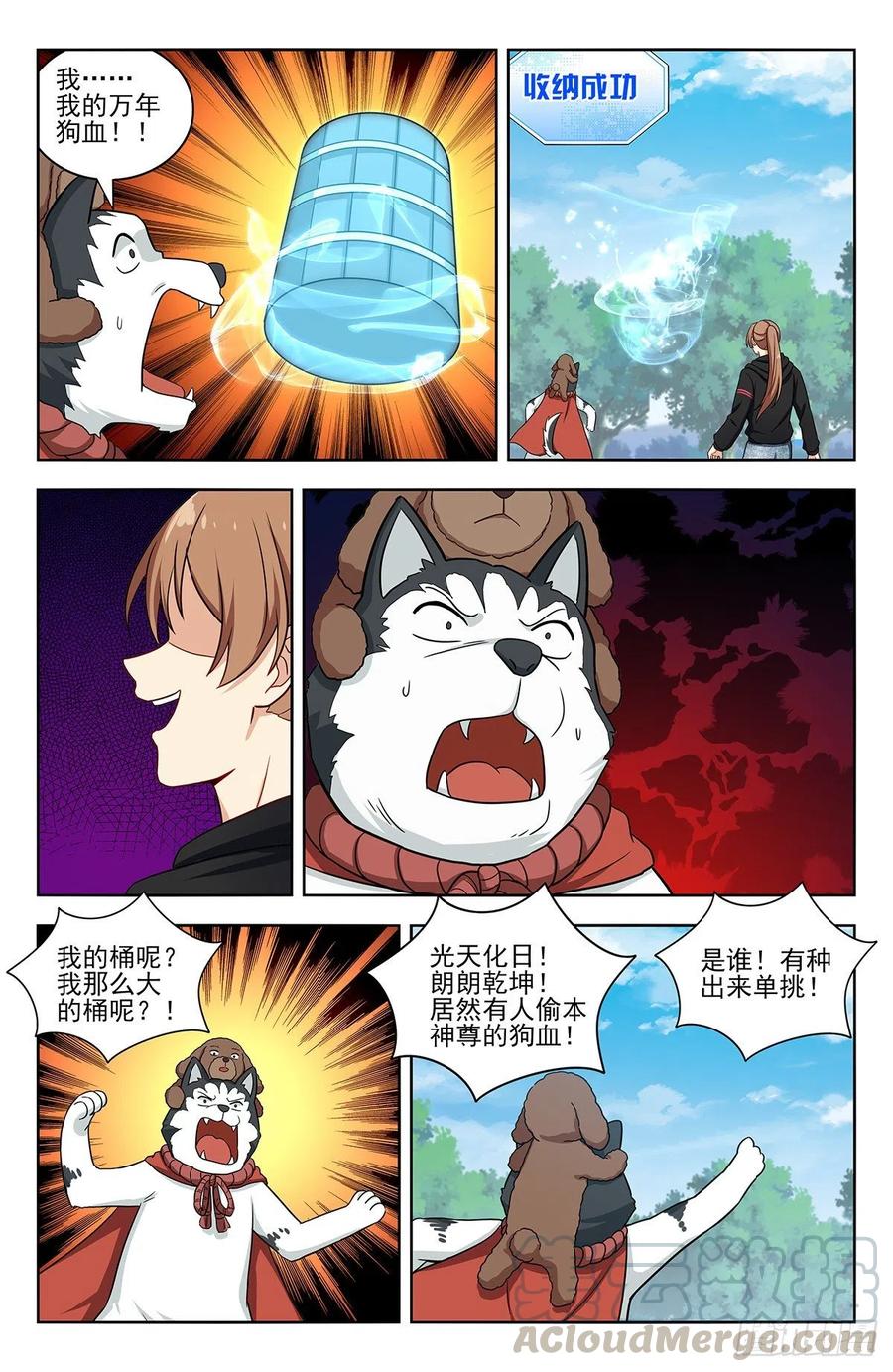 5.jpg