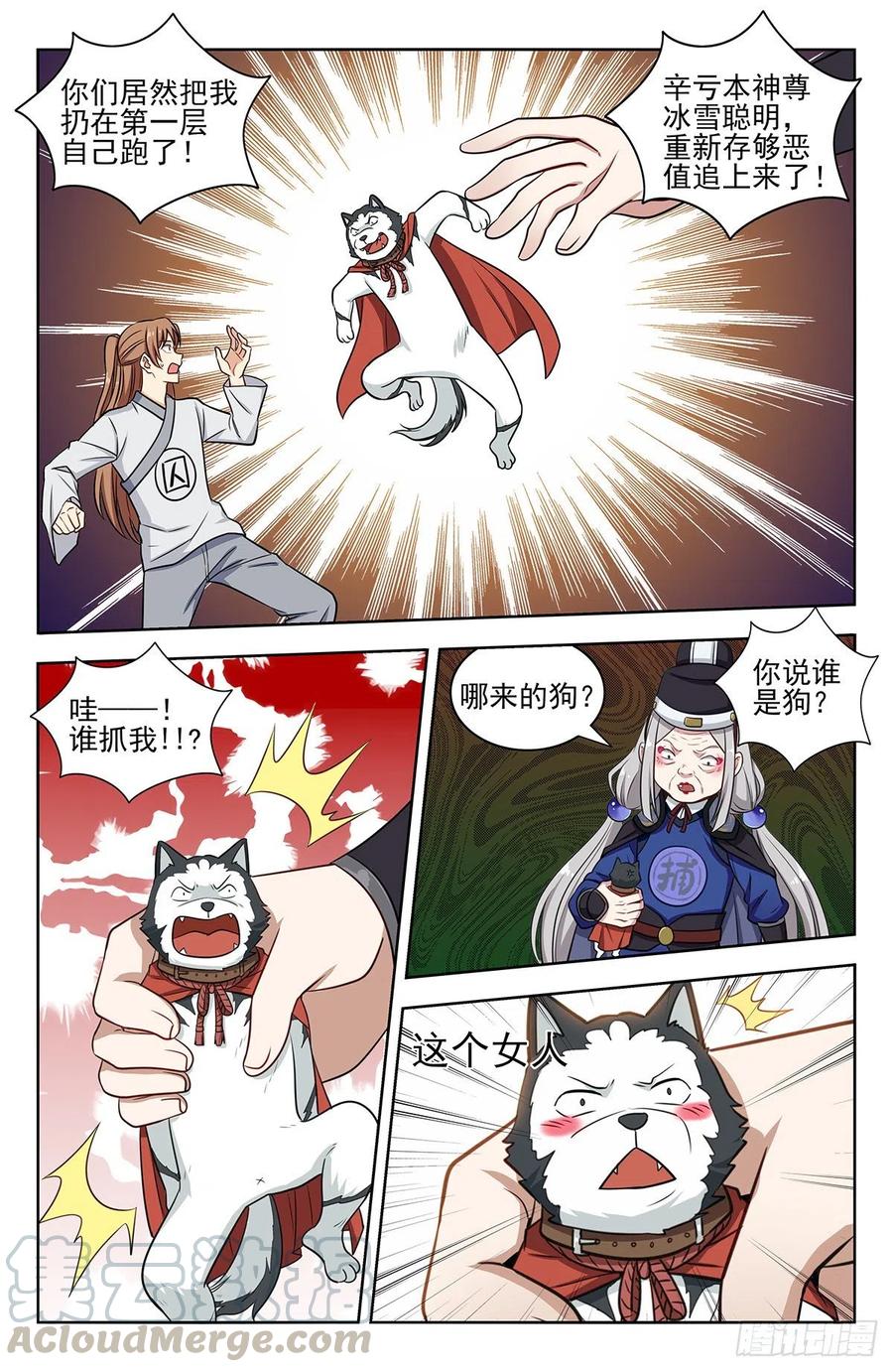 11.jpg