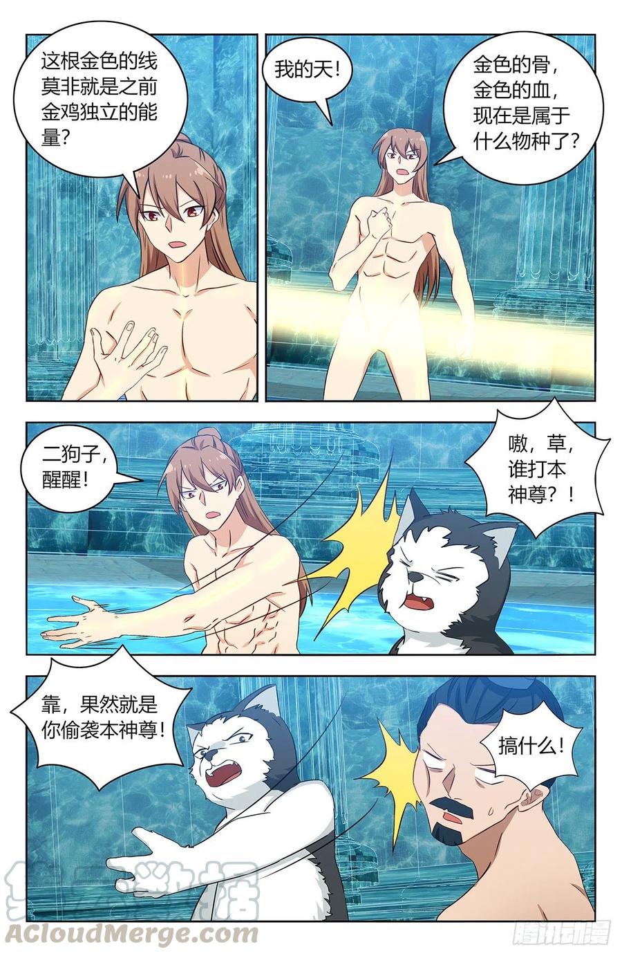 12.jpg