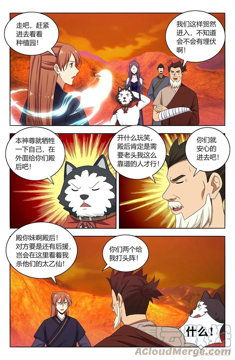 5.jpg