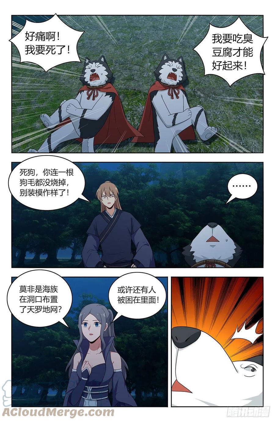 6.jpg