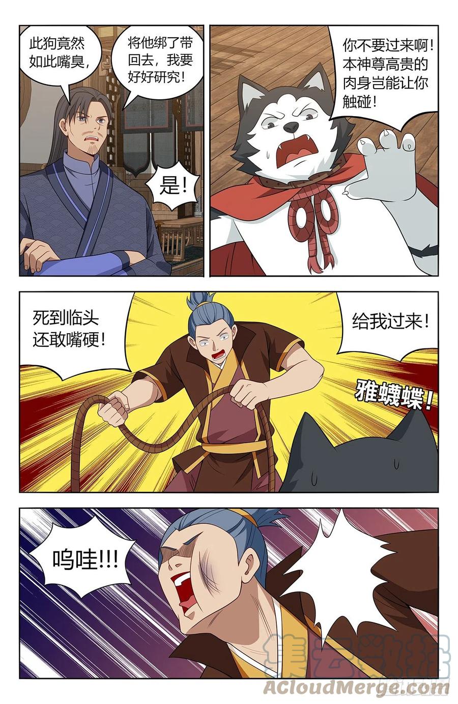 2.jpg