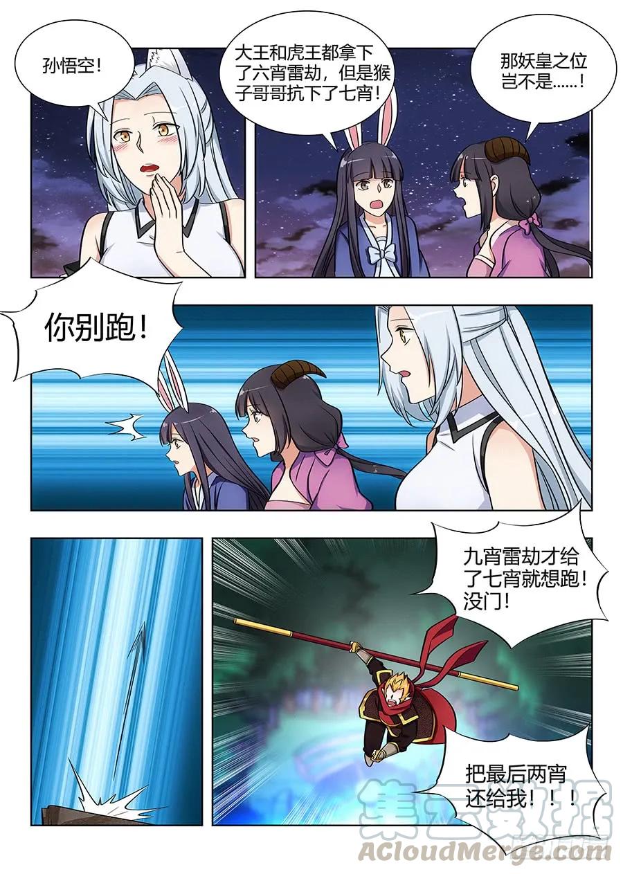 11.jpg