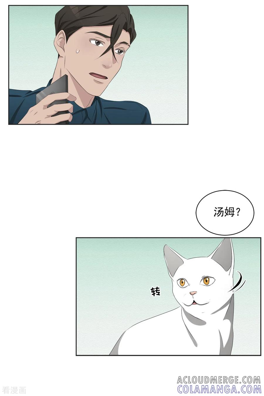 第41话朴警官送汤姆回家-影子侦探-趣编文化（第13张）